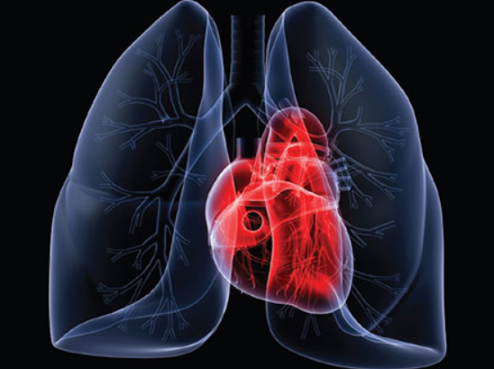 Better Heart And Lung Health